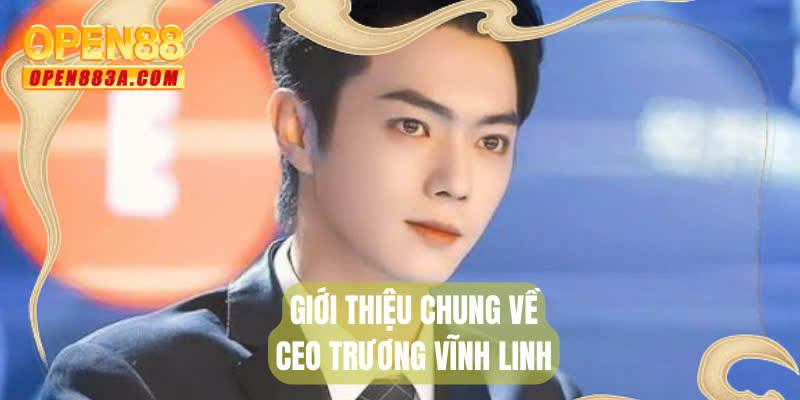 Giới thiệu chung về CEO Trương Vĩnh Linh