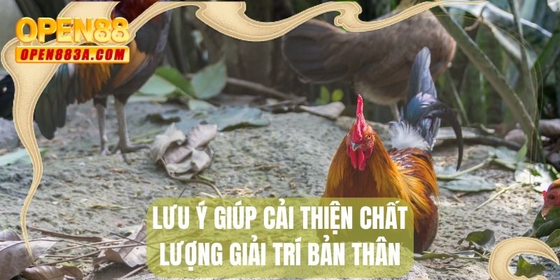 Lưu ý giúp cải thiện chất lượng giải trí bản thân